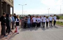 DÜNYA SÜT GÜNÜ - Birinci Gelene Altın Madalya Sonuncuya 1 Koli Süt