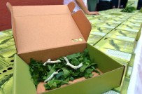 İPEKBÖCEĞİ - Bursa İpeğini Çocuklar Canlandıracak