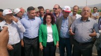 TUR YıLDıZ BIÇER - CHP Manisa Milletvekili Adayı Tur Yıldız Biçer Açıklaması