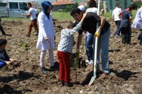 ŞEYH ŞAMIL - Çubuk'ta Engelli Öğrenciler Fidan Dikti