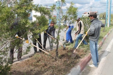 Gemerek'te Tyçp Kapsamında 102 İşçi İşe Alındı