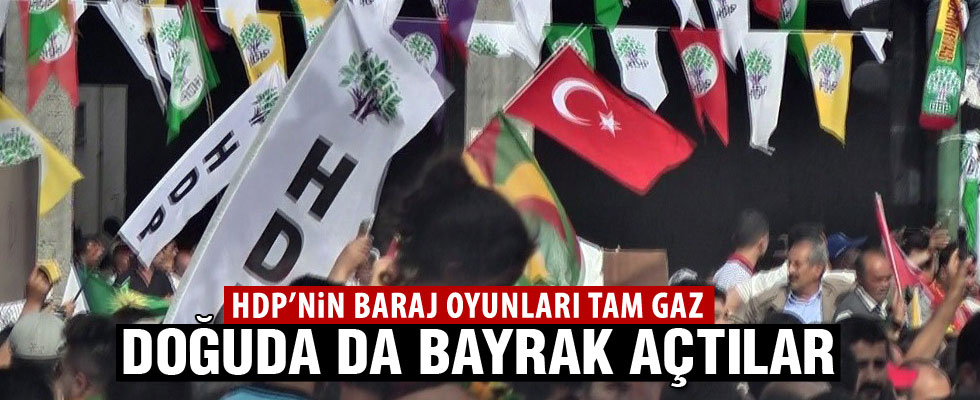 HDP'nin Batman mitinginde Türk bayrağı
