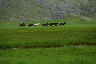 Seydişehir'de Dağcılar Doğa Yürüyüşünde Buluştu