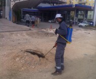 İBRAHIM YALÇıN - Silvan'da Haşerelere Karşı İlaçlama Çalışmaları Başladı