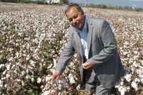 BİTKİSEL ÜRÜN - Sökeli Üreticiden Pamukta Stopaj Kesintisine Tepki