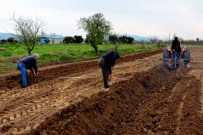 HAZİNE ARAZİSİ - Akköy'de Ek Dağıtımda 24 Ailenin Tapuları Hazır