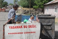 Hem Anne Hem Baba Oldu