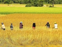 KAYIT DIŞI İSTİHDAM - Hükümetten istihdam seferberlİğİ