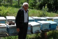 SAHTE BAL - Simavlı Arıcılar 2015'Den Umutlu