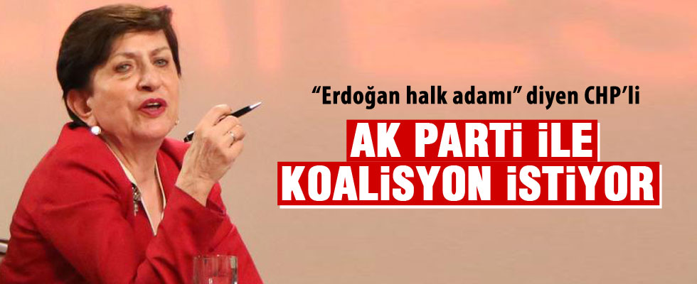 CHP'li eski vekil Binnaz Toprak: AK Partili koalisyon daha iyi