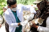 Mamak'ta Kuduz Aşısı Kampanyası Devam Ediyor