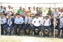 REKOR ÜRETİM - Aksaray'da Hasat Bayramı