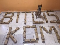 Bitlis'te 164 Kilo Eroin Ele Geçirildi