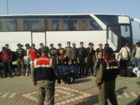 Çanakkale'de 59 Kaçak Göçmen Yakalandı