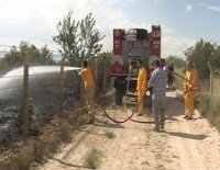 Ereğli'de Orman Yangını