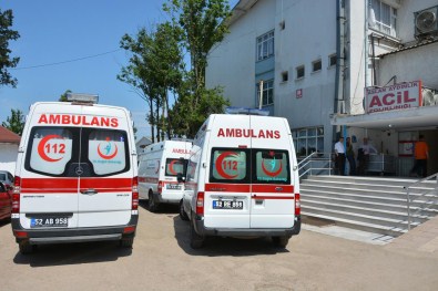 Kumru'da Ağaçtan Düşen Kişi Yaralandı