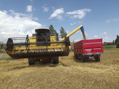 Seydişehir'de Hasat Dönemi Arpa İle Başladı