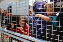 Tel Abyad Sınır Kapısı Açıldı