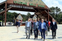 BURSA VALISI - Uludağ'a Çat Kapı Denetim