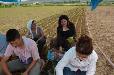 Belediye Başkanı Şalvar Giyip Tütün Dikti