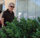 ZÜLFÜ LİVANELİ - Zülfü Livaneli Koalisyonu Değerlendirdi