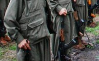 8 PKK'lı Teslim Oldu