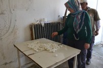 İPEKBÖCEĞİ - Bilecik Eski Günlerine Geri Dönüyor