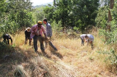 Bitlis Belediyesi Mezarlıkları Temizliyor