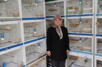 Meme Kanseriyle Mücadelesinde Kanarya Sevgisi Etkili Oldu