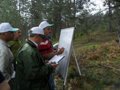 Ormanlara Sağlık Karnesi