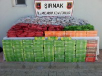 Şırnak'ta Kaçakçılık Operasyonu