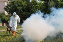 ERTUĞRUL TANRıKULU - Edirne Belediye Başkan Yardımcısı Tanrıkulu, Çeltik Üreticilerine Uyarılarda Bulundu