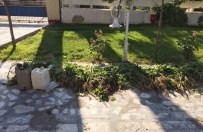 Jandarmadan Hint Keneviri Operasyonu