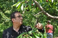 Kirazda Self Servis Dönemi