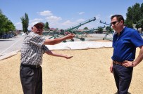 İĞDE - Zahire Pazarında Hasat Hareketliliği