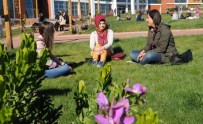 7 Aralık Üniversitesi 3 Bin 65 Yeni Öğrenci Alacak