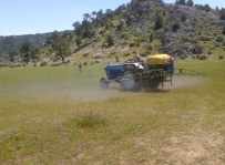 DUMANLı  - Beyşehir'de Erken Müdahale Çekirge Zararlarını Önledi