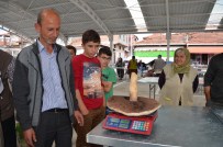 Dev Mantar Görenleri Şaşırttı