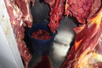AT ETİ - Piyasaya sürülmeye hazır yarım ton at eti bulundu