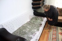 İPEKBÖCEĞİ - Samsun'da İpek Böceği Üreticiliği Artacak