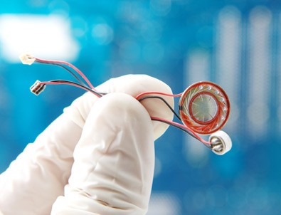 Böcek davasında karar açıklandı