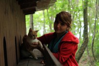 HÜSEYIN AYDıN - Sokak Kedileri İçin 5 Yıldızlı 'Kedi Kasabası'