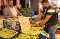 Yerli Kabak 50 Kuruştan Satılmasına Rağmen Rağbet Görmüyor