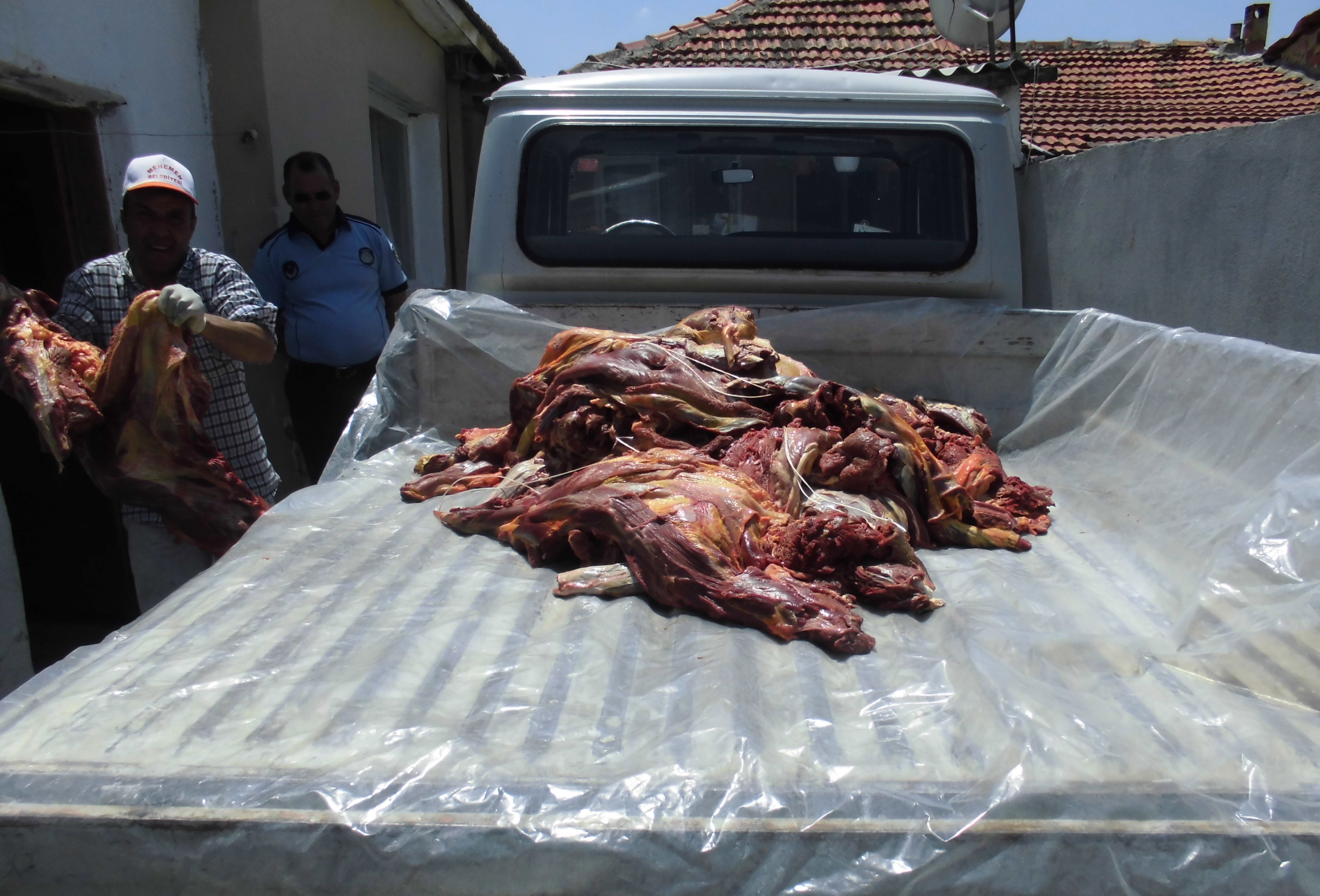 Piyasaya sürülmeye hazır yarım ton at eti bulundu