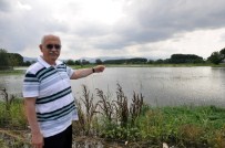 Aşırı Yağış Çiftçiyi 45 Milyon TL Zarara Uğrattı