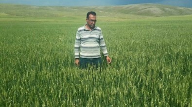 İç Anadolu Tarım Ambarında Net Bilanço Açığa Çıktı