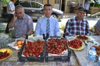 GELENBE - Kırkağaç'ta Yılın İlk Çileği Hasat Edildi