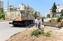 GÜZELBAĞ - Muratpaşa'da Bahçe Atıkları Toplama Çalışmaları