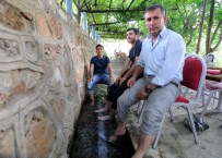 AHMET OKUR - Serinlemek İçin Su Kanallarına Gidiyorlar