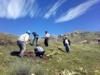 İŞKUR - Bin Kişi Orman İşinde Çalışıyor